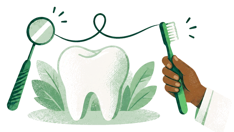 Illustration: a large tooth between a dental mirror and a toothbrush.